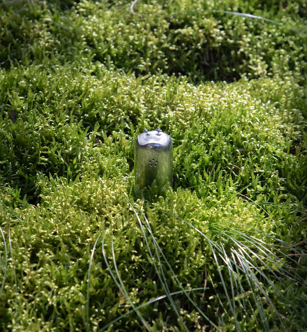 Node Grass